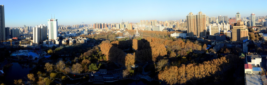 城市