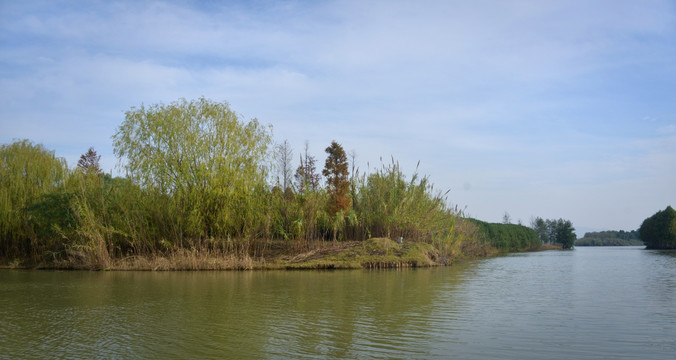 太湖湿地