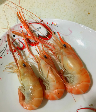 虾