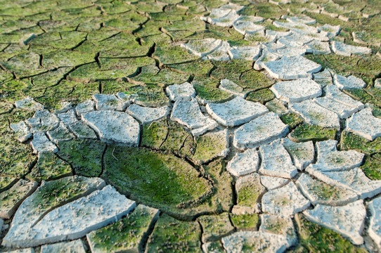 干涸的稻田 干旱 龟裂 线条
