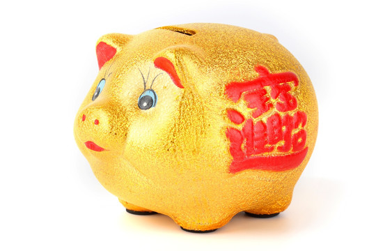 猪 金猪储蓄罐 货币 货币金融