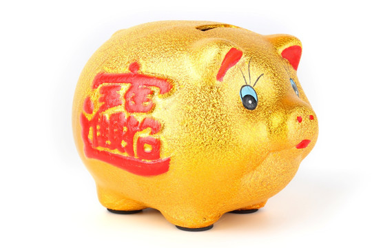 猪 金猪储蓄罐 货币 货币金融