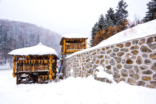 东北山村 雪乡