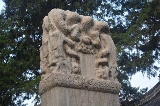 北京碑龙首