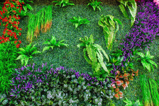 绿植墙 植物墙 绿化墙