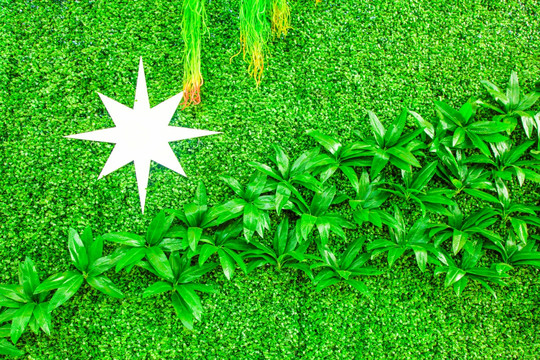 绿植墙 花墙