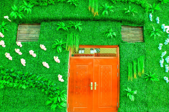 绿植墙 花墙