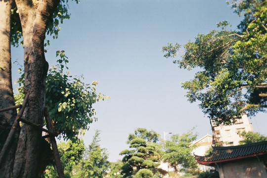 南普陀寺