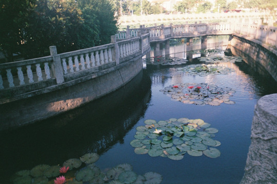 南普陀寺