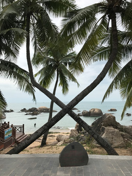 天涯海角