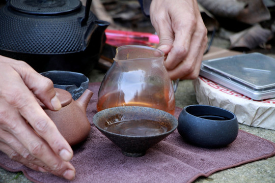 户外品茶