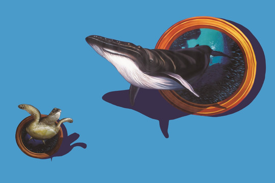 3D立体画 大鲸鱼 造梦视界