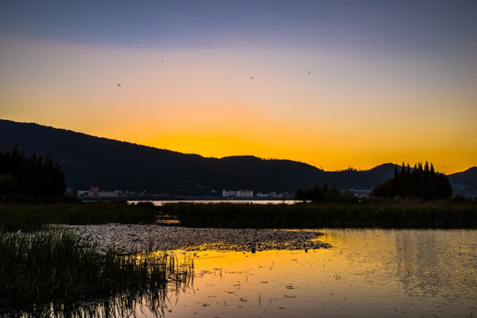 黄昏滇池湿地