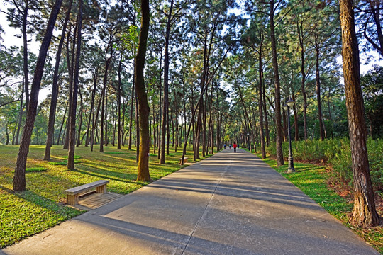 笔架山公园 深圳笔架山公园