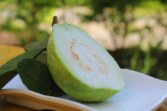 番石榴 芭乐 台湾芭乐