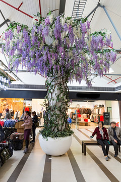紫藤花树 装饰