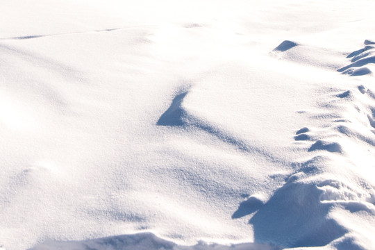 雪地