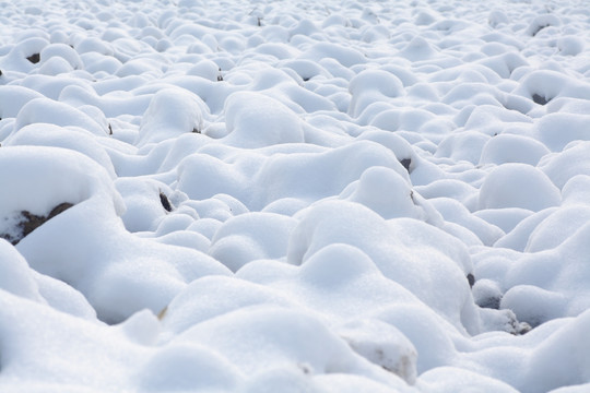 雪