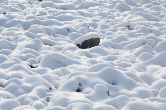 雪