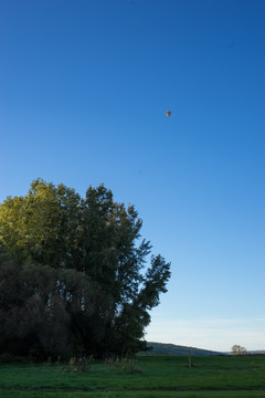 天上的热气球 竖片