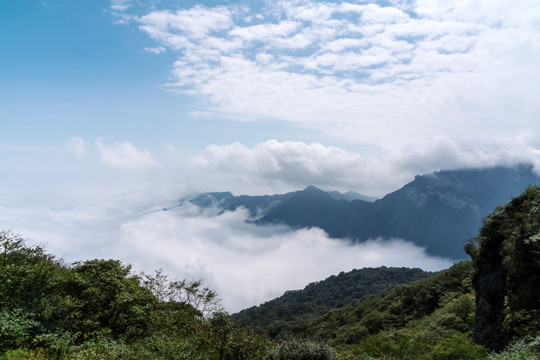 梵净山云海