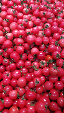 圣女果 西红柿 水果 超市