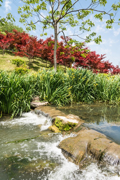 珍珠泉风景区水景