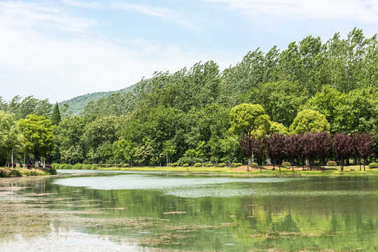 珍珠泉风景区水景