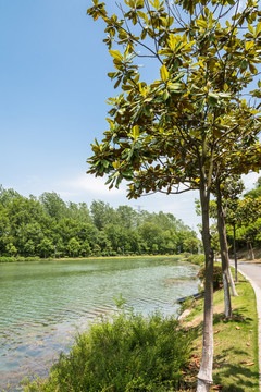 珍珠泉风景区水景