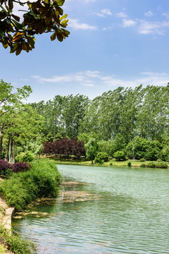 珍珠泉风景区水景