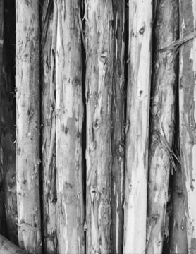 木头黑白照片