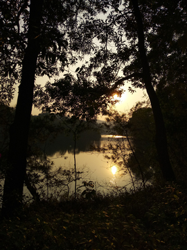 湖畔夕阳风景