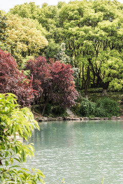 景区水景