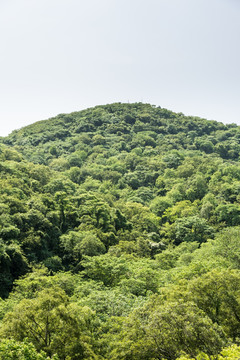 景区山景