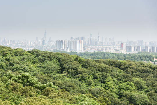 景区山景