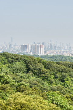 景区山景