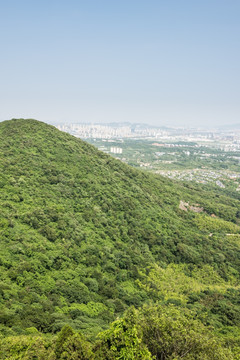 山林