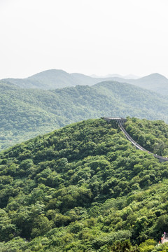 景区山林