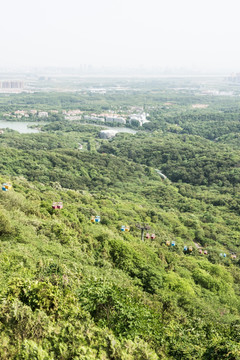 景区山林