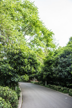珍珠泉风景区道路