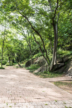 珍珠泉风景区道路