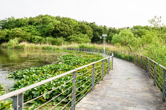 珍珠泉风景区水景