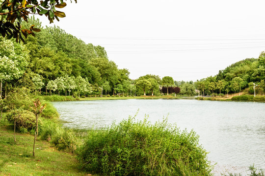 珍珠泉风景区水景