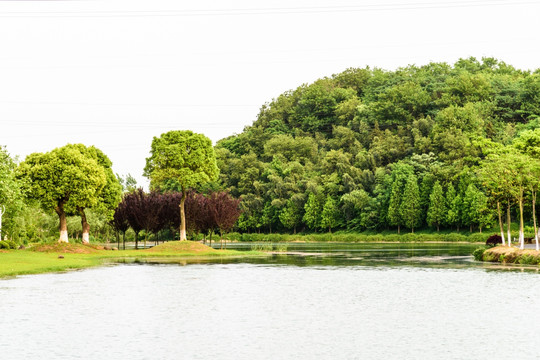 珍珠泉风景区水景