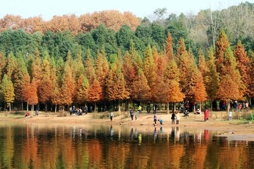 东湖山秋色