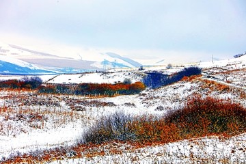 坝上初雪