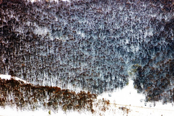 坝上初雪