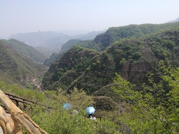 山
