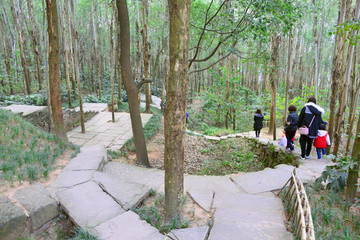 森林公园 阶梯 石板路