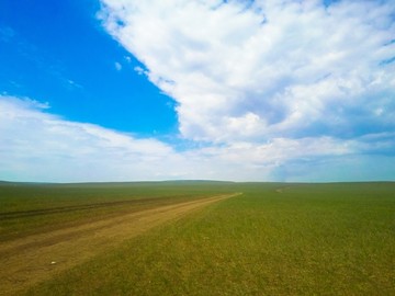 草原自然路